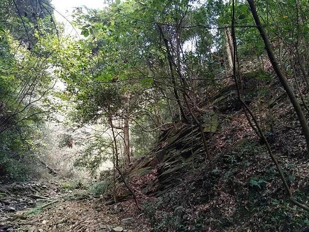 主客共享 文旅融合！昆明市文化和旅游局部署落实2024年重点工作